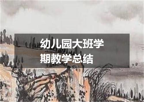 幼儿园大班学期教学总结