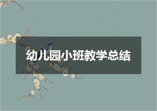幼儿园小班教学总结