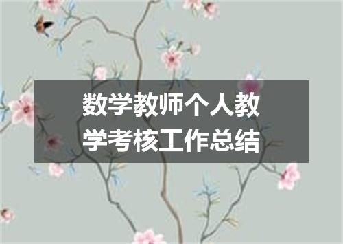 数学教师个人教学考核工作总结