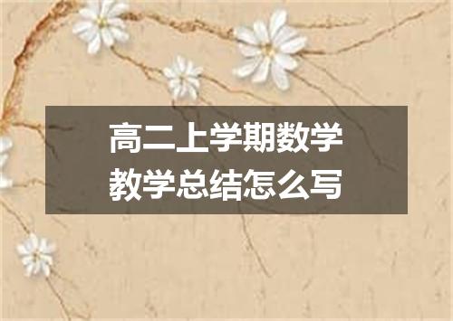 高二上学期数学教学总结怎么写