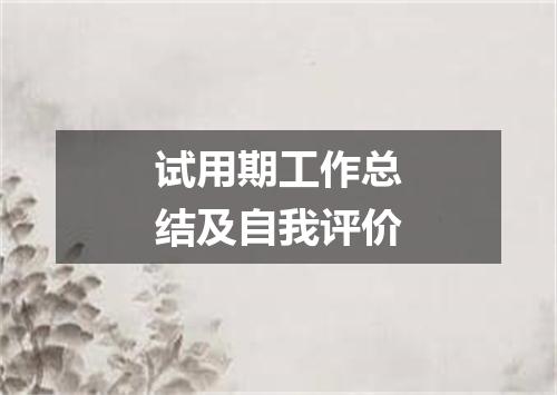 试用期工作总结及自我评价