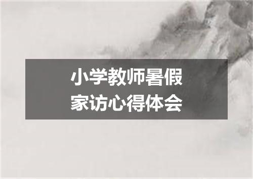 小学教师暑假家访心得体会