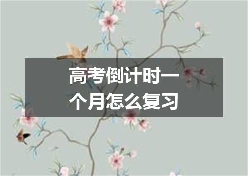 高考倒计时一个月怎么复习