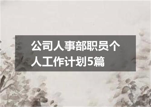 公司人事部职员个人工作计划5篇