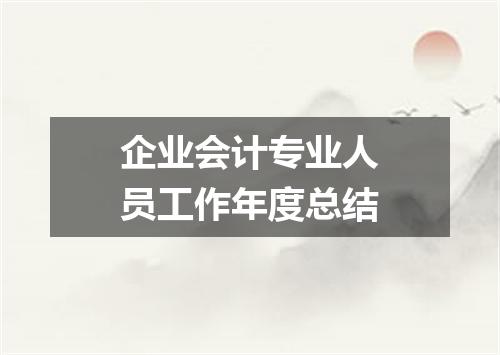 企业会计专业人员工作年度总结