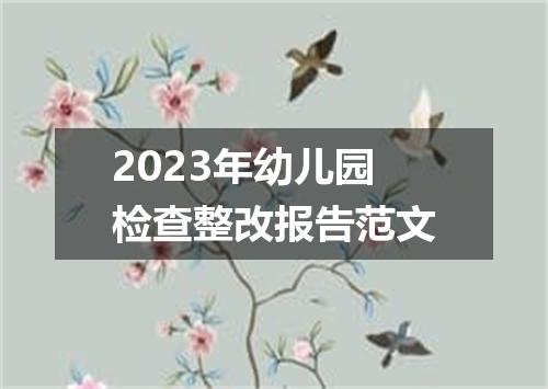 2023年幼儿园检查整改报告范文
