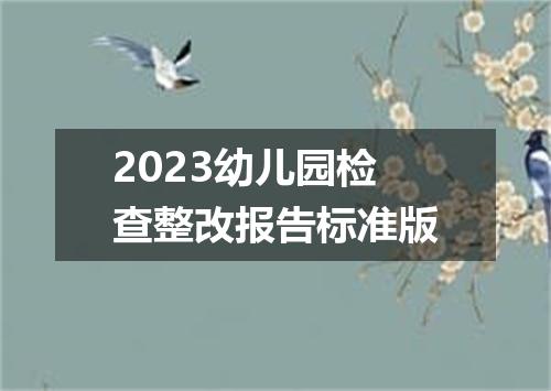 2023幼儿园检查整改报告标准版