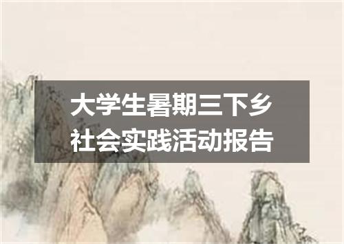 大学生暑期三下乡社会实践活动报告