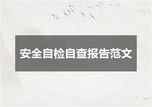 安全自检自查报告范文