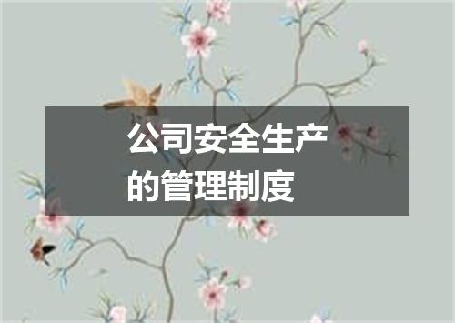 公司安全生产的管理制度