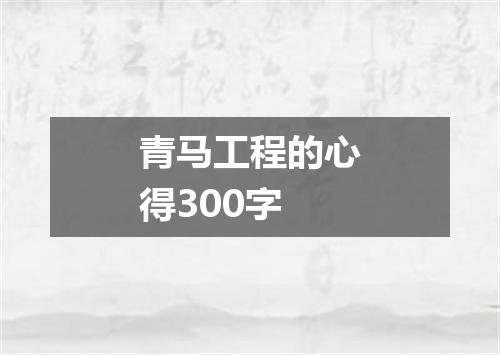 青马工程的心得300字