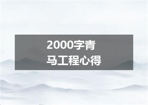 2000字青马工程心得