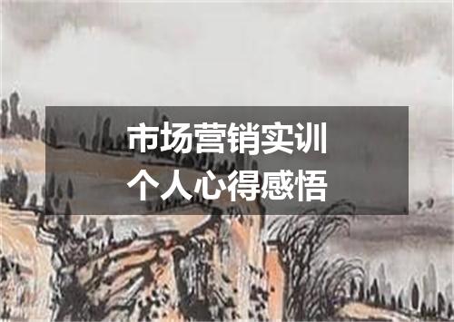 市场营销实训个人心得感悟