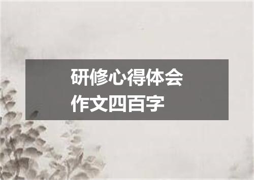 研修心得体会作文四百字