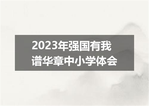 2023年强国有我谱华章中小学体会
