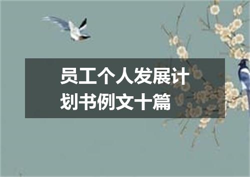 员工个人发展计划书例文十篇