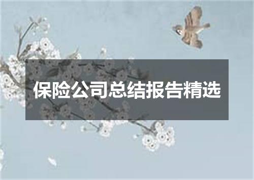 保险公司总结报告精选