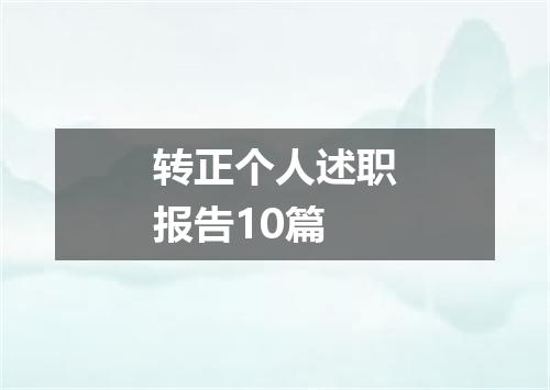 转正个人述职报告10篇