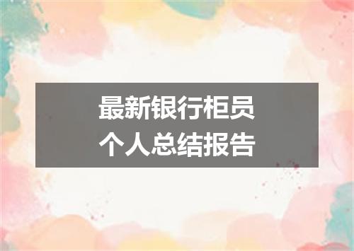 最新银行柜员个人总结报告