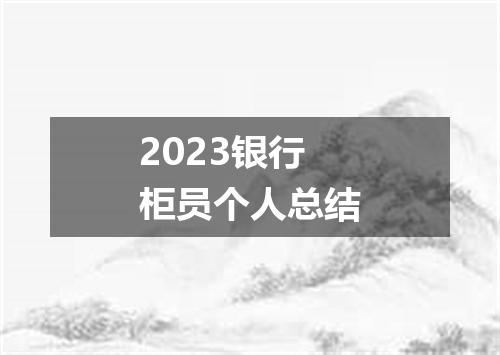 2023银行柜员个人总结