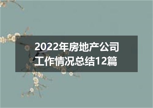 2022年房地产公司工作情况总结12篇