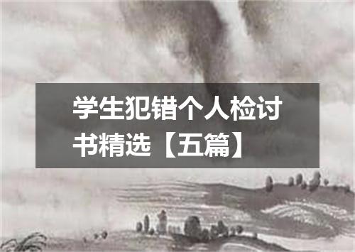 学生犯错个人检讨书精选【五篇】