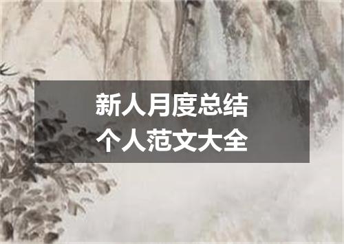 新人月度总结个人范文大全