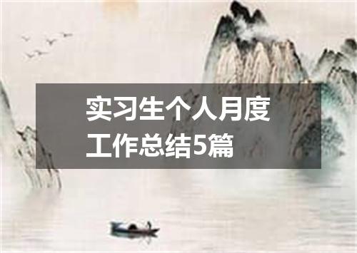 实习生个人月度工作总结5篇