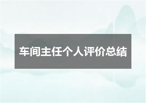 车间主任个人评价总结