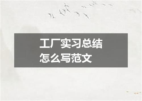工厂实习总结怎么写范文