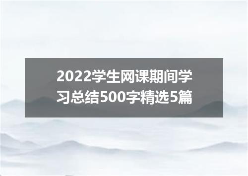 2022学生网课期间学习总结500字精选5篇