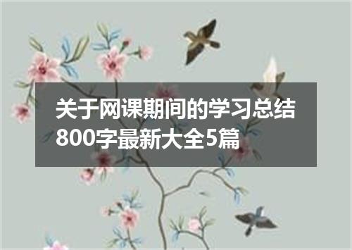 关于网课期间的学习总结800字最新大全5篇