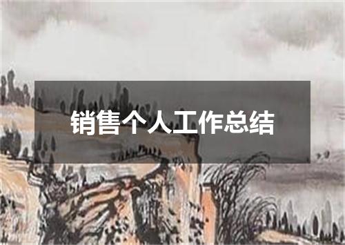 销售个人工作总结
