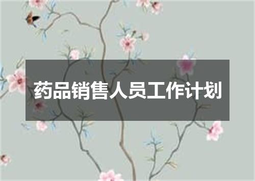 药品销售人员工作计划
