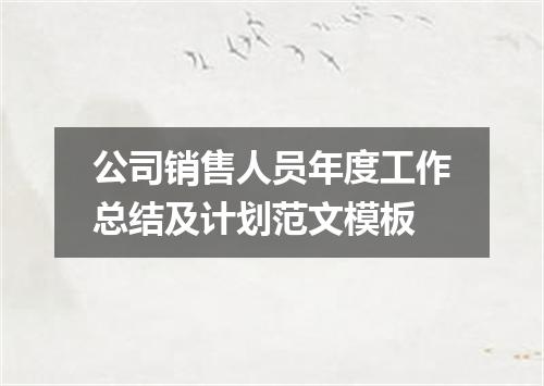 公司销售人员年度工作总结及计划范文模板