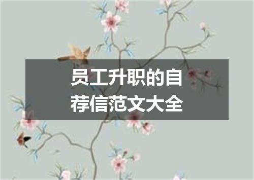 员工升职的自荐信范文大全