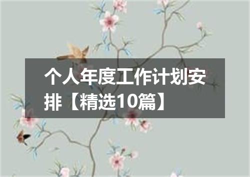 个人年度工作计划安排【精选10篇】