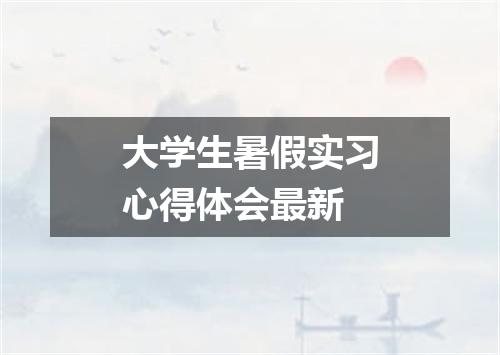 大学生暑假实习心得体会最新