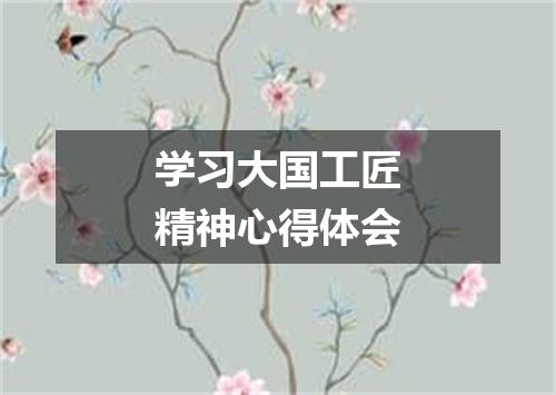 学习大国工匠精神心得体会