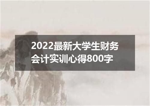 2022最新大学生财务会计实训心得800字