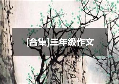 [合集]三年级作文