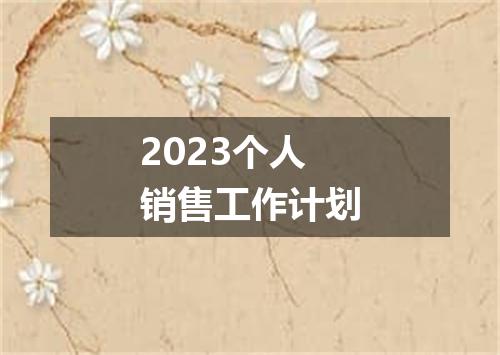 2023个人销售工作计划