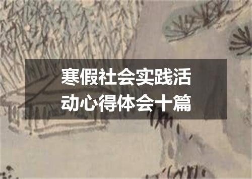 寒假社会实践活动心得体会十篇