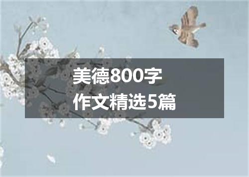 美德800字作文精选5篇