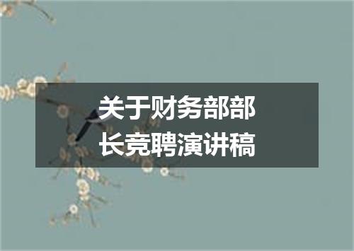 关于财务部部长竞聘演讲稿