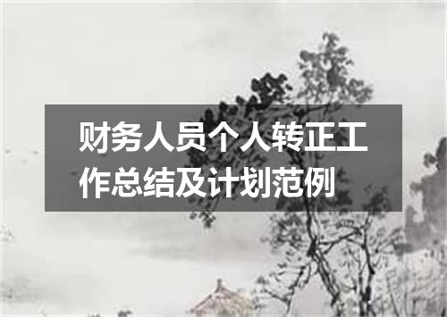 财务人员个人转正工作总结及计划范例