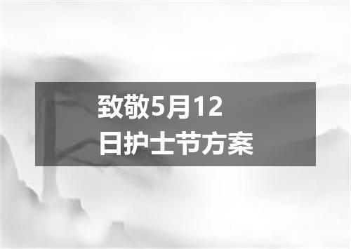 致敬5月12日护士节方案