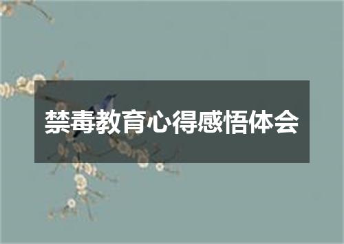 禁毒教育心得感悟体会