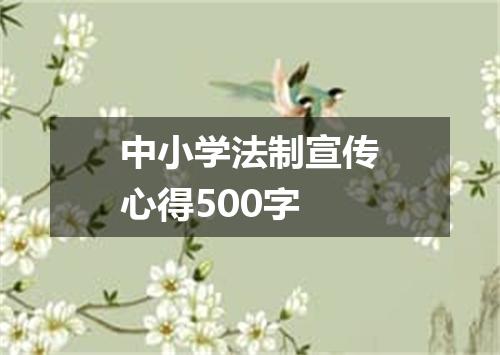 中小学法制宣传心得500字