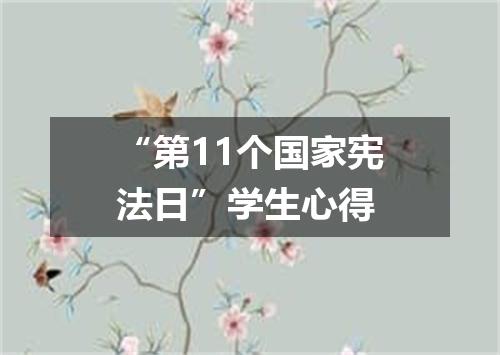 “第11个国家宪法日”学生心得